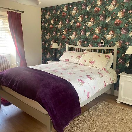 Nolans Organic Farm Villa Wexford Dış mekan fotoğraf