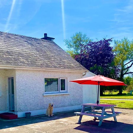 Nolans Organic Farm Villa Wexford Dış mekan fotoğraf